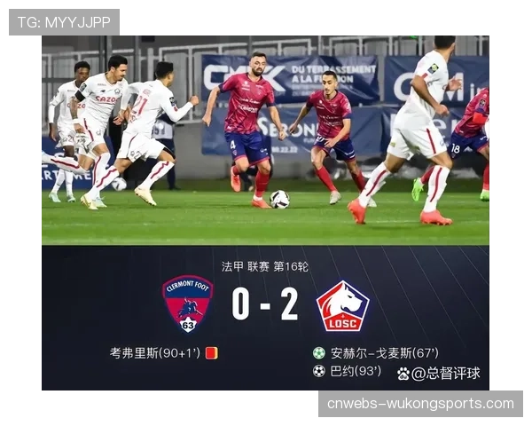 法国申办2030世界杯,法甲赛场升级迎评估 法国申办2030世界杯,法甲赛场升级迎评估