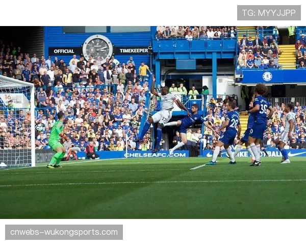 伤兵满营,水晶宫迎战切尔西面临严峻挑战 伤兵满营,水晶宫迎战切尔西面临严峻挑战